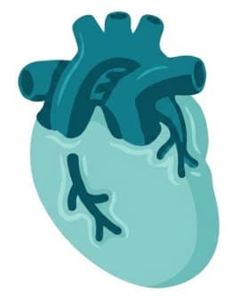 Cardiology