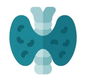 Endocrinology