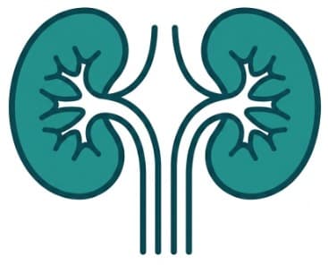 Nephrology