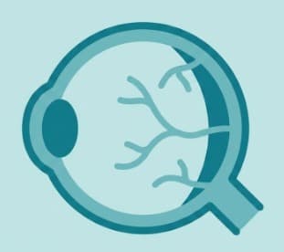 Ophthalmology