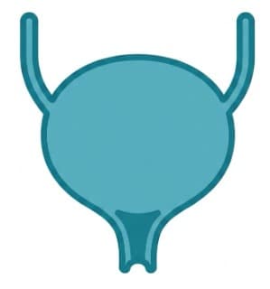Urology